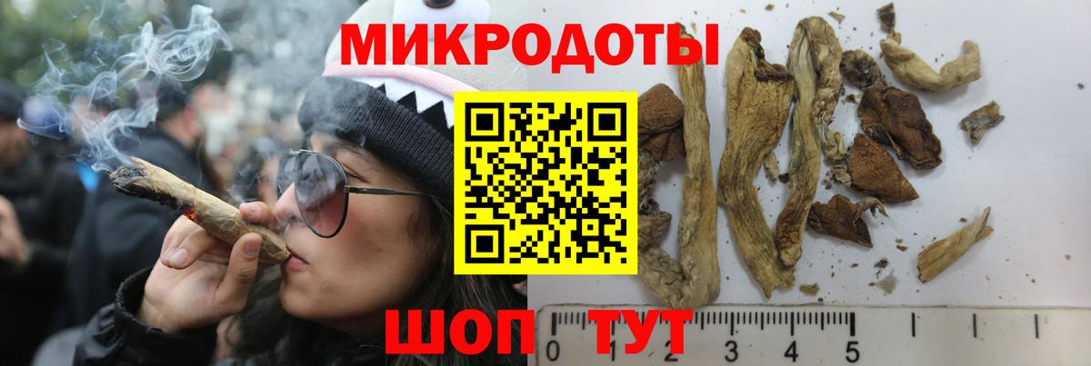 Галлюциногенные грибы прущие грибы Знаменск