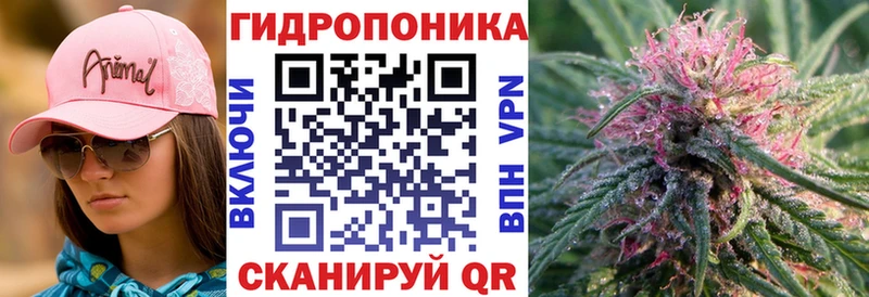 МАРИХУАНА семена Знаменск